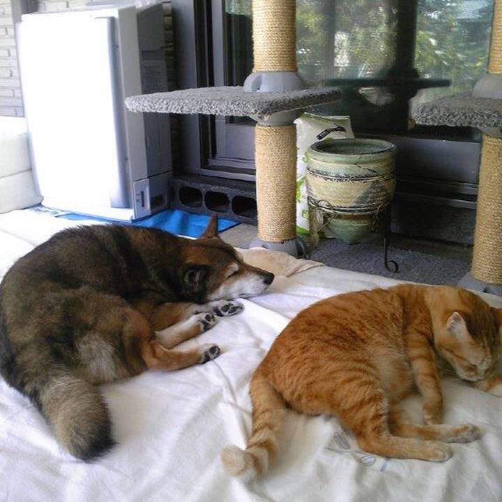 B96393a6 d6e2 4d55 a3f6 d31b57a91728