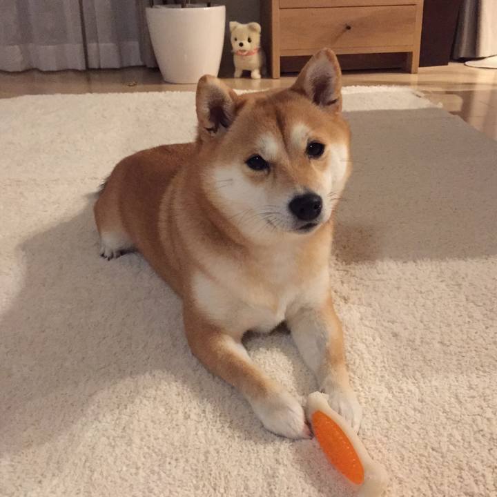 B96423de 603e 4ddd abd1 9b651b68ad39