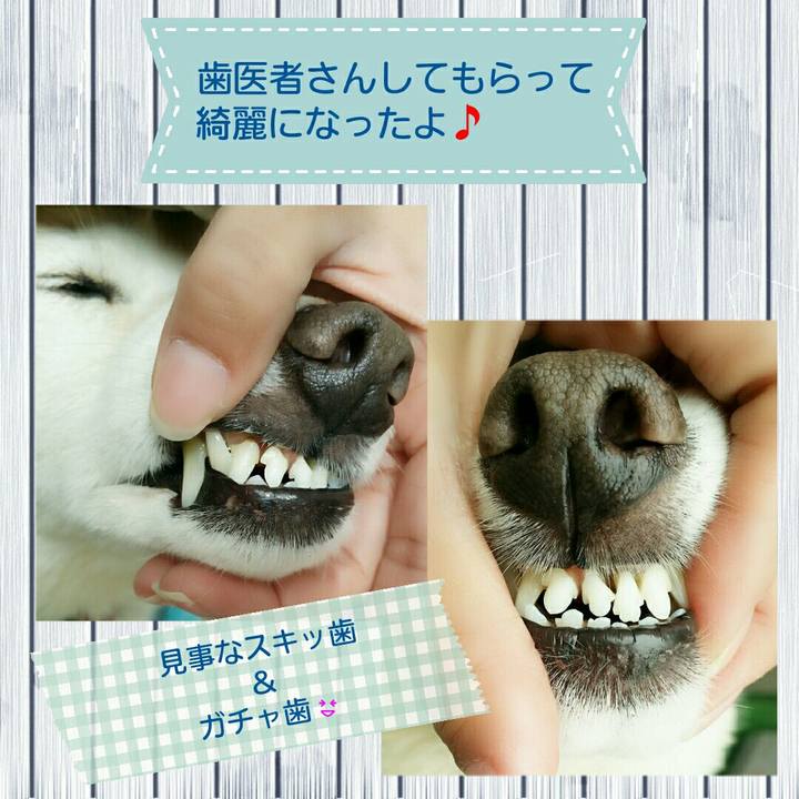 B964387f 738f 4b68 9a63 127156dff27a