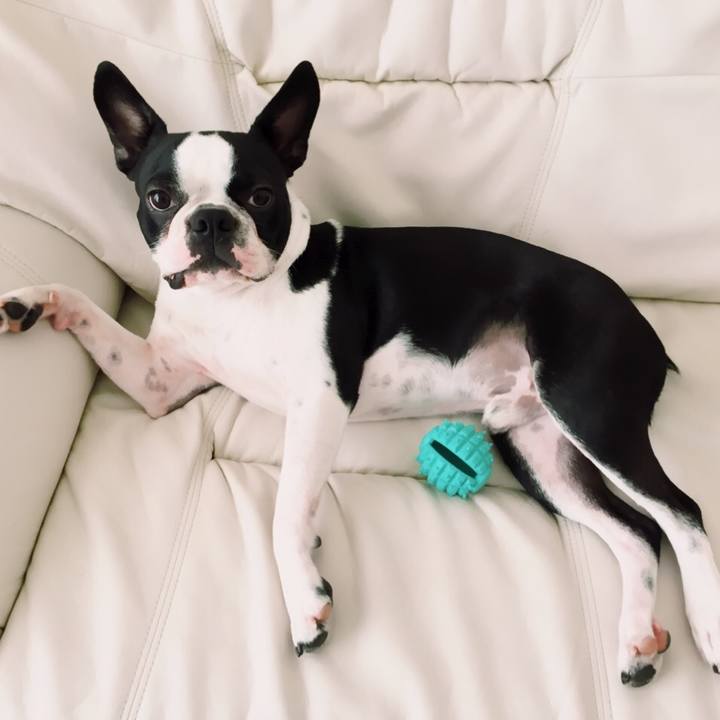 B9647778 01c5 474f a9ed ad8ccf4a9fc2