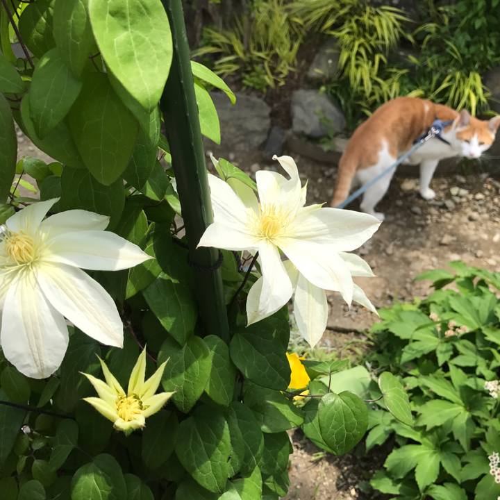 B9649380 007d 40a4 b6c0 7dc23ce4058a