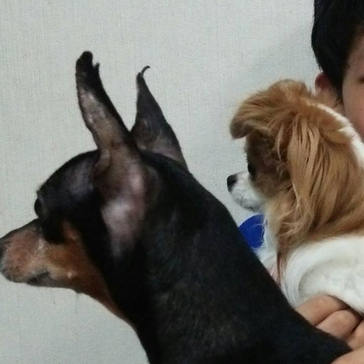 B96604e0 2632 42ee 91e2 b86f322b4f00