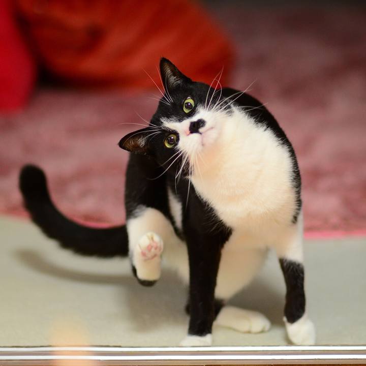 B96609ef 2985 4f13 89f0 733f85d6c17f