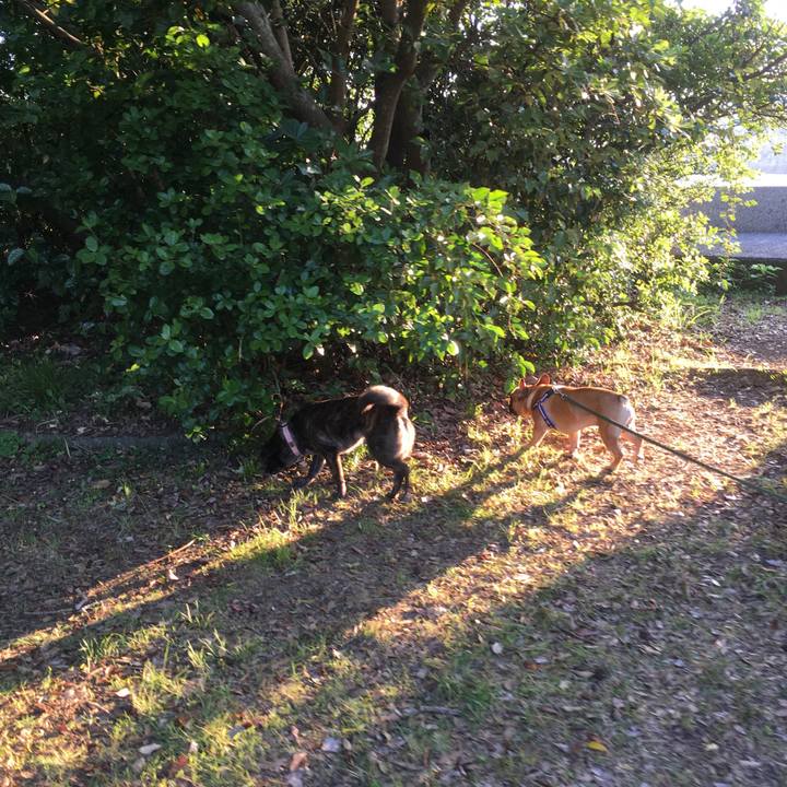 B9660a9c 74ca 4a06 8650 c97ccc837894