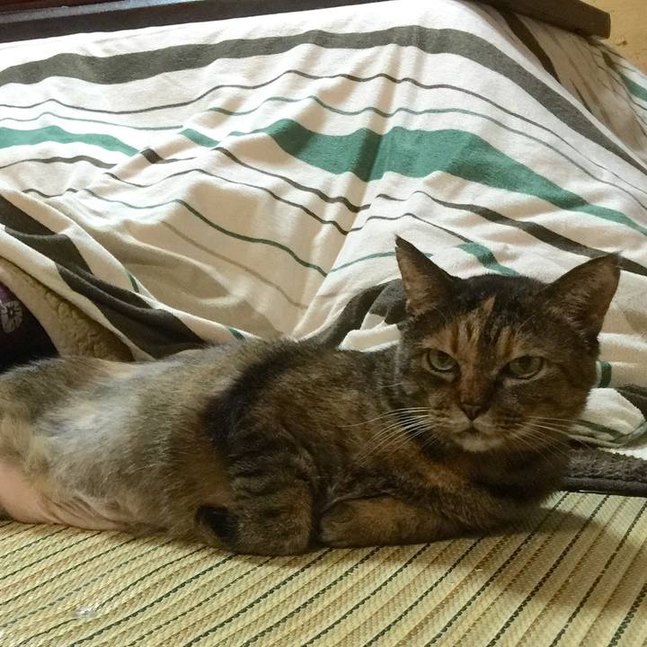 B9677def 0dde 4cd3 b526 079109c7ea08