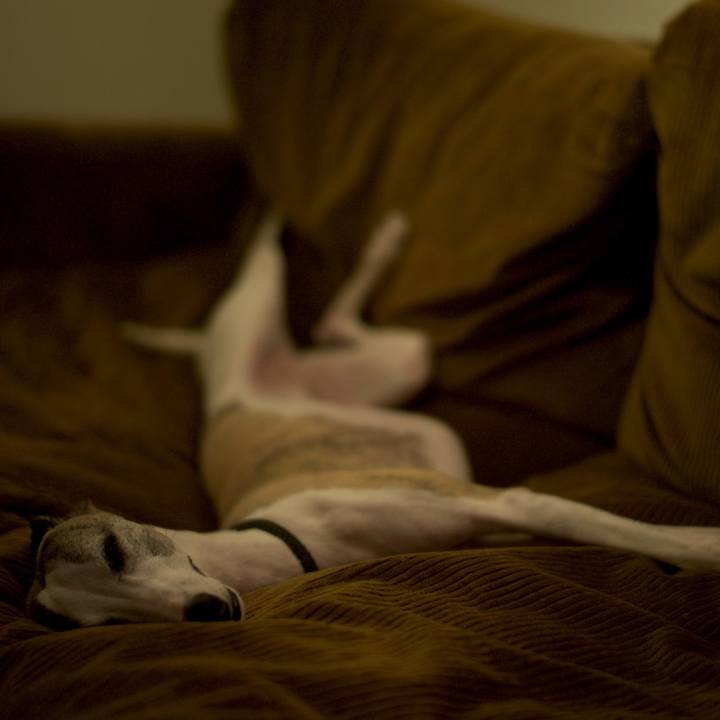 B96795f7 6a5f 4fbc 8d61 0651d7b1925b