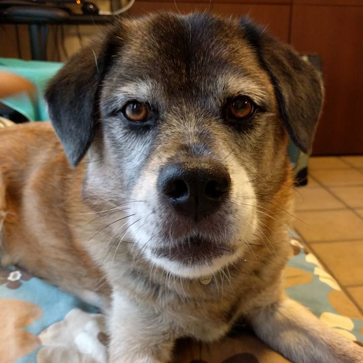 B967dab8 b53f 4956 bbd8 a91385a7ae8f