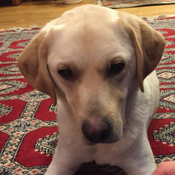 B967fb5f e6d4 49c7 adb8 d708dce6371a