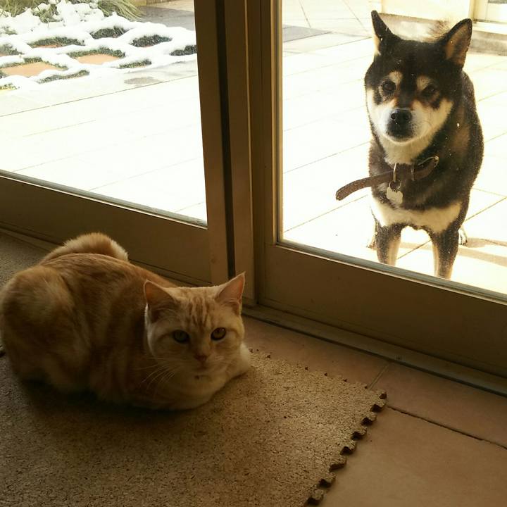 B9687425 eae7 43a9 b255 10012ee41b5a