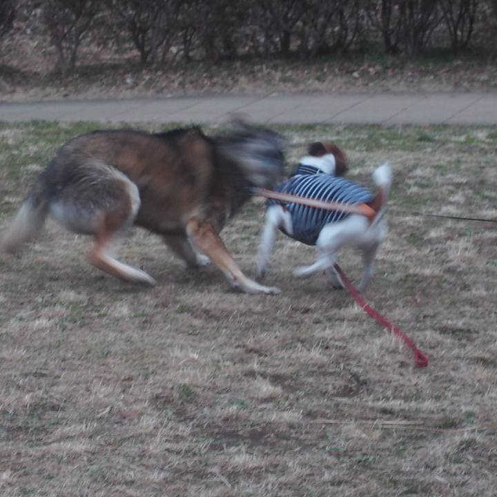 B968e039 0773 42cb 9c5c facb4f48dcfd