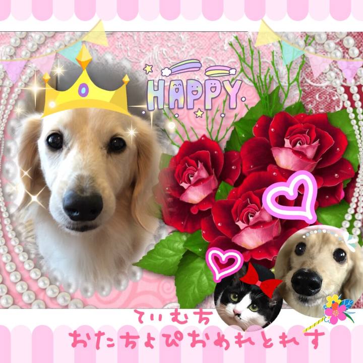 B9692da8 fdc4 4660 9ca3 d0b0608e9a88