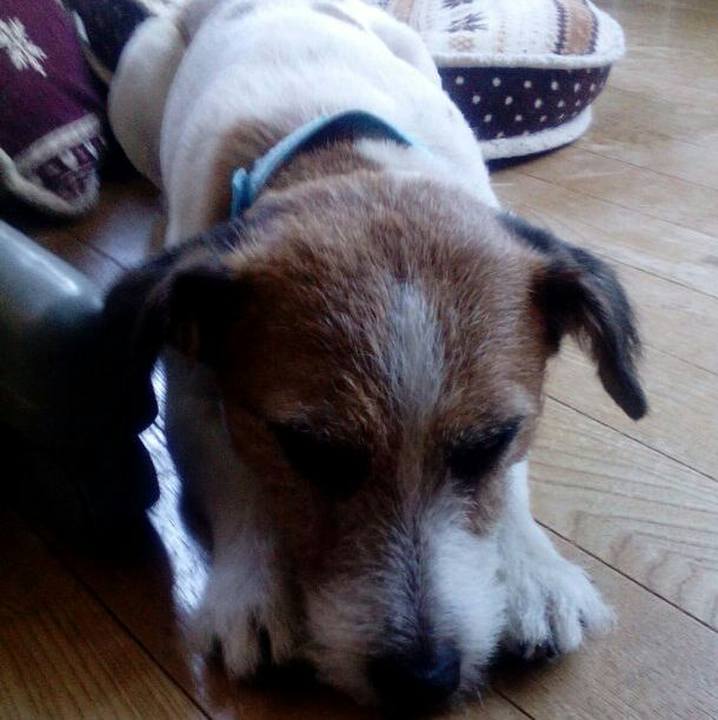 B96959a9 0793 4486 9a1a 798c32b093d4