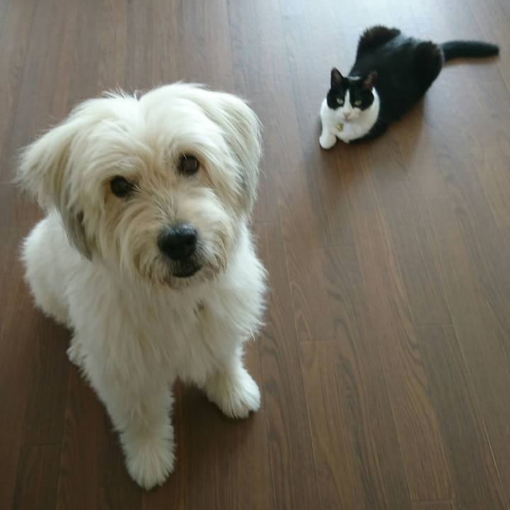 B969cb58 b1ef 49dd ad94 1ba03b595fd7