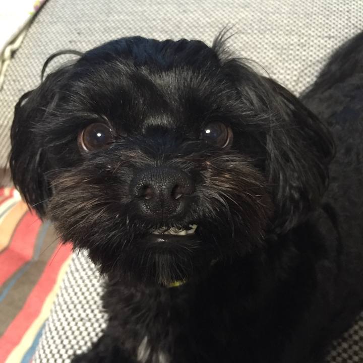 B969fc67 6807 4b77 93aa af3d02a45ec5