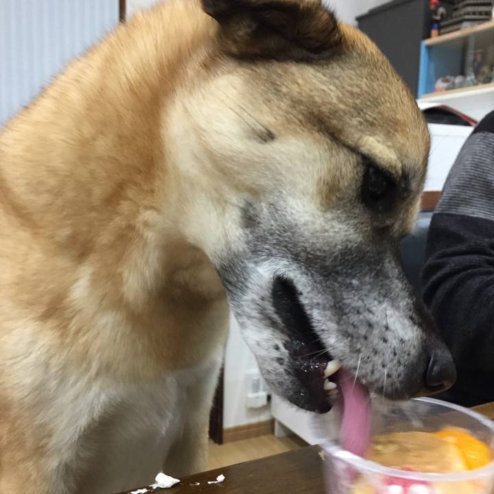 B96a7203 bb7a 498e ac30 102fc3ffcdcd