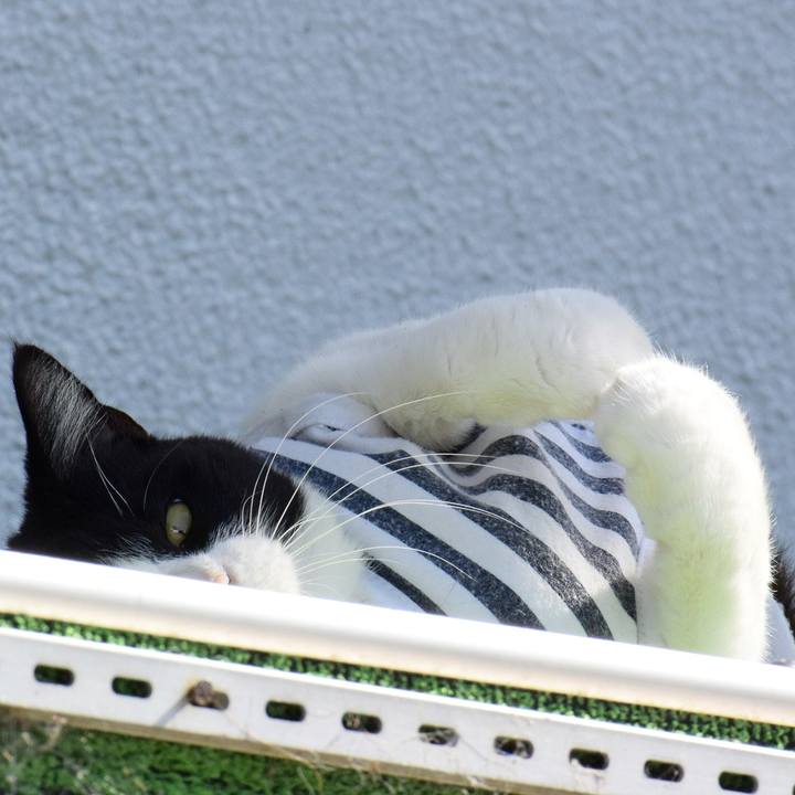 B96b7963 a75e 4cab ba70 0eb6f15a9413