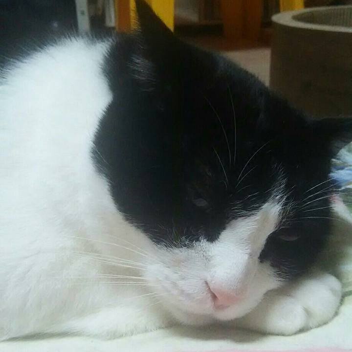 B96bb964 fd48 4997 a5b4 8a515b9d69c5