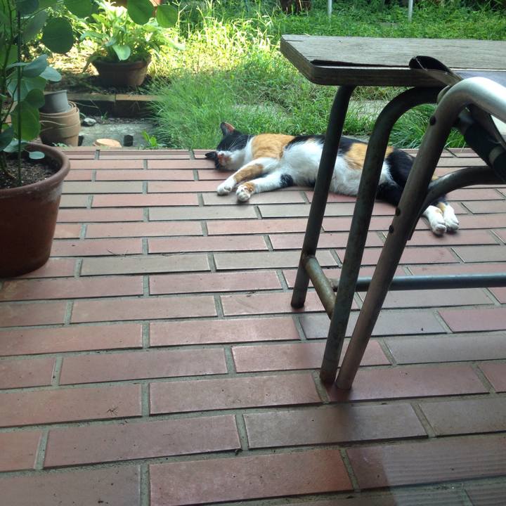 B96bd274 d62b 45f1 bd1e f87b10bf1578