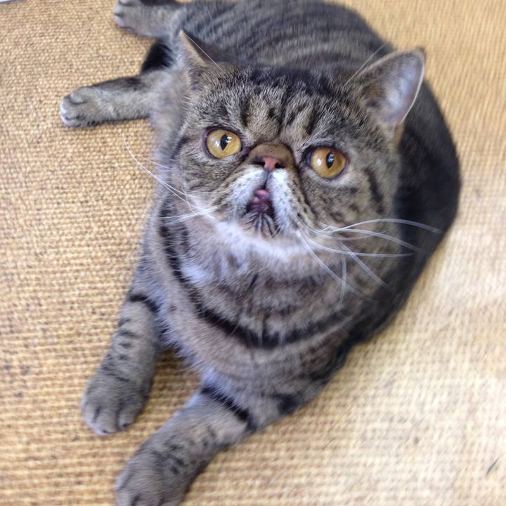 B96bfa46 1a6f 4fed 9775 6e6e397997b7