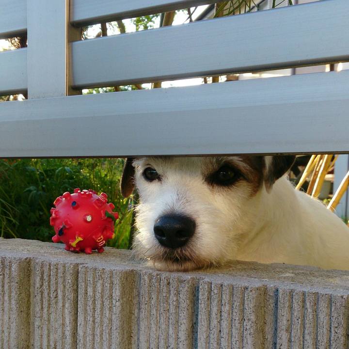 B96ca789 b140 4db9 8b6a 1ccc35ddb884