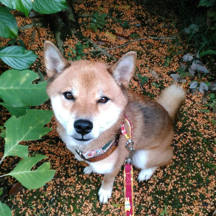 B96d8247 3bad 4981 9f43 f8ec19fb6ebf