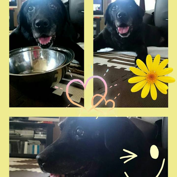 B96e141e 4988 4b23 be69 fadef2871f15