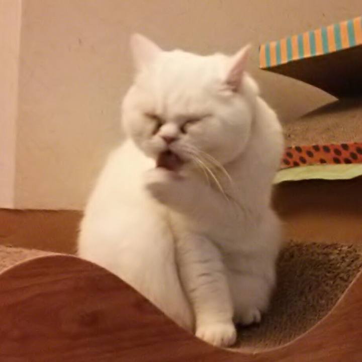 B96e6b6f 1197 4ae8 89d6 2d7e936f385f