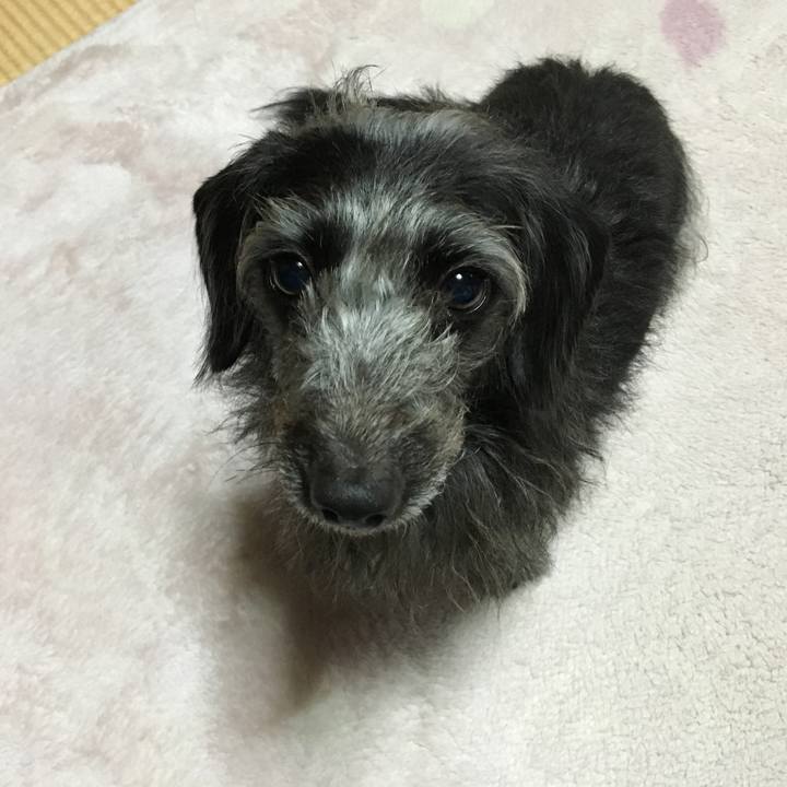 B96e9248 f0f0 40fc b60b 439ef953aceb