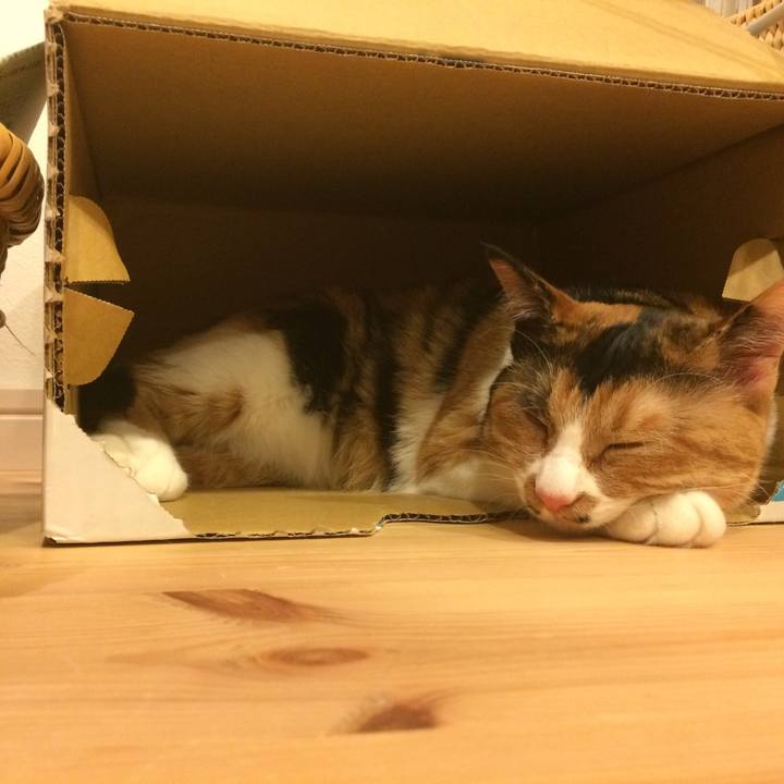 B96f86c7 c1a4 4f0f a824 fa0651ef1a1b