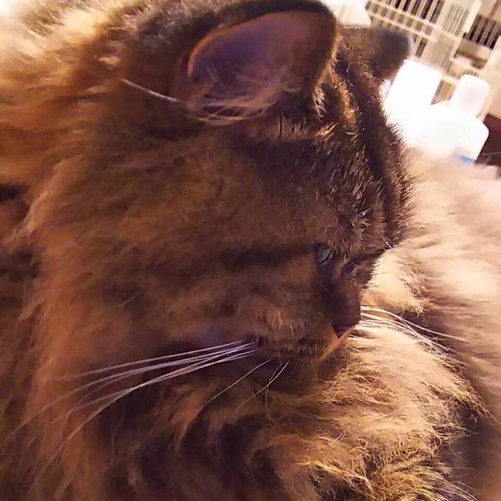 B96fcdde ecfb 420f 8892 faa86a5eefa9