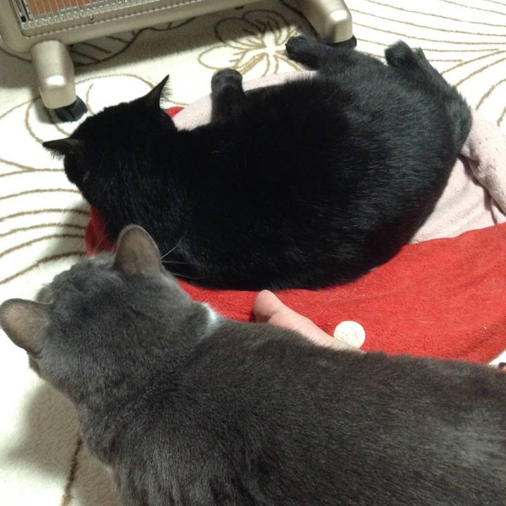 B9702a8a 6bf5 42f2 b95b 00dc11ad8de7