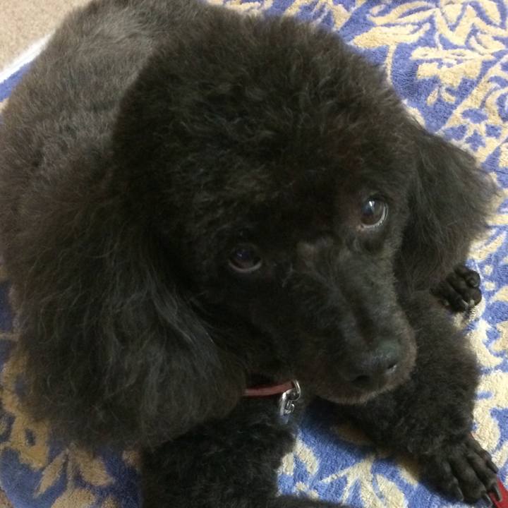 B971ba7e e83e 4963 bb3b d2facb4cbb4e