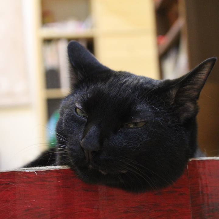 B97272cc 4eb5 43a8 b408 c47508dad689