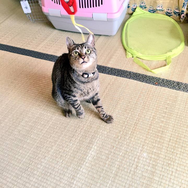 B9730b95 bd14 4667 b4ca 0bdbb38d7aaa