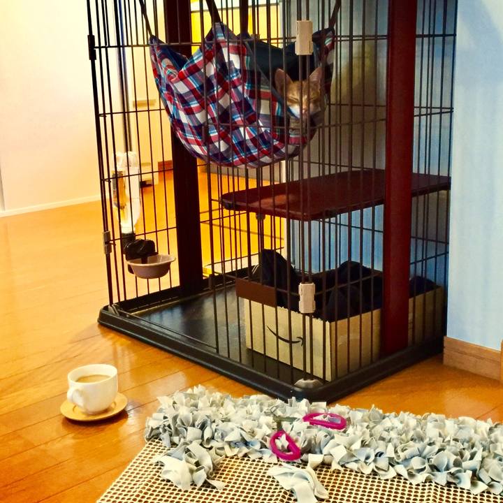 B973c1e6 3f01 4475 b8c0 08a724a468a9