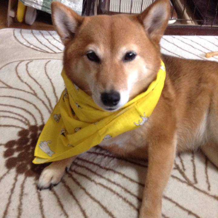 B97463cd 4b15 4ec1 9703 4535d2497984