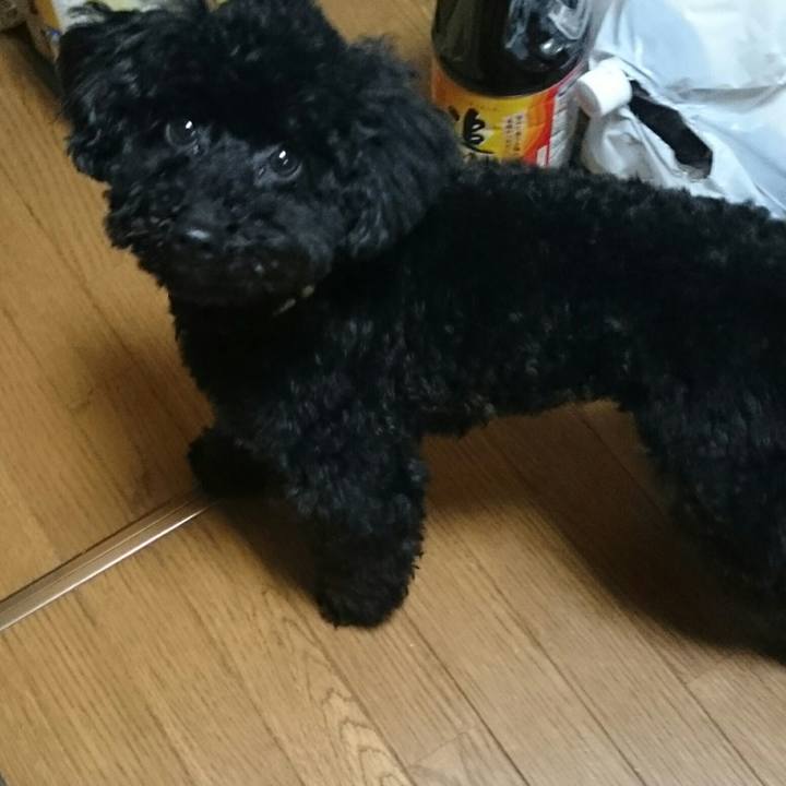 B974831c 3549 448e a6f4 247040b61c67