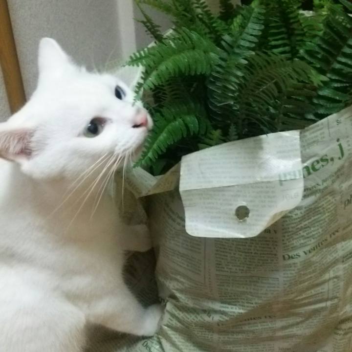 B974a850 a7a8 40cc 893f 0499d5fbdb8e