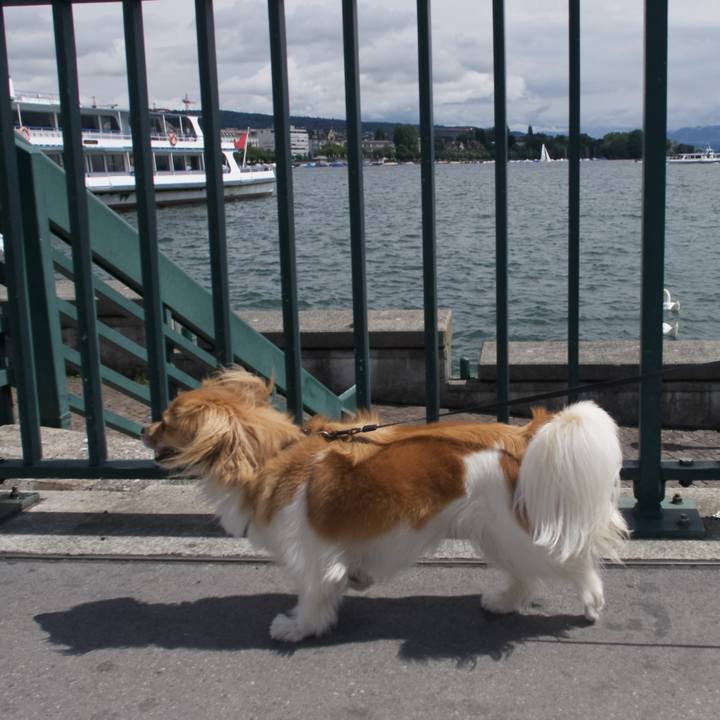 B97517b3 f06e 4f63 8d5d 87e45c8f7e59