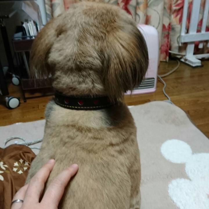 B97534b1 ac3b 4bb2 8ee9 fe2c2b512218