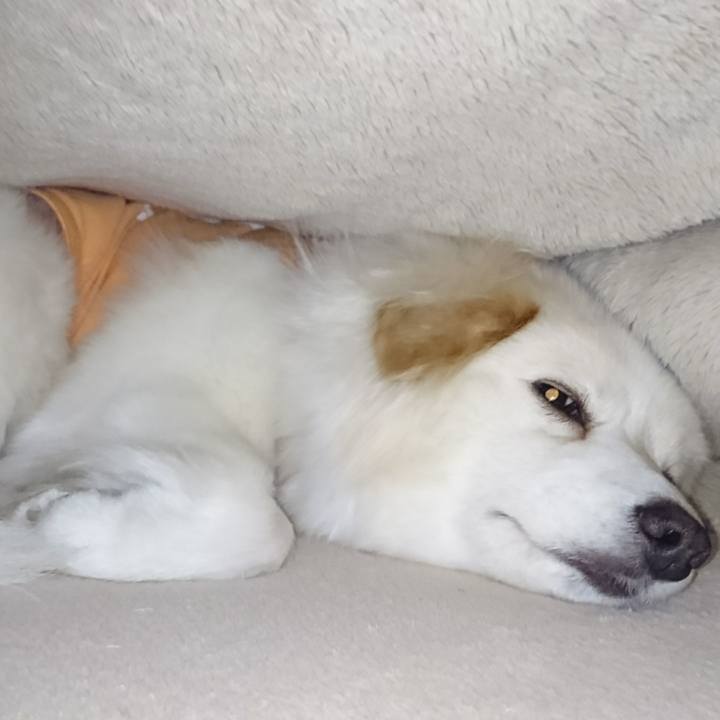 B97585c6 bc4f 4660 a0b6 4c33cc0239db