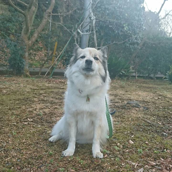 B975a63c 8715 4c9f 8eae 0faf7d566ecc