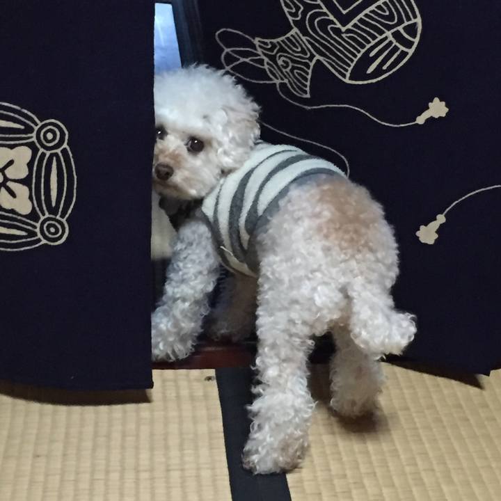 B975b47f c86d 43e8 b7e8 ed494579c03f