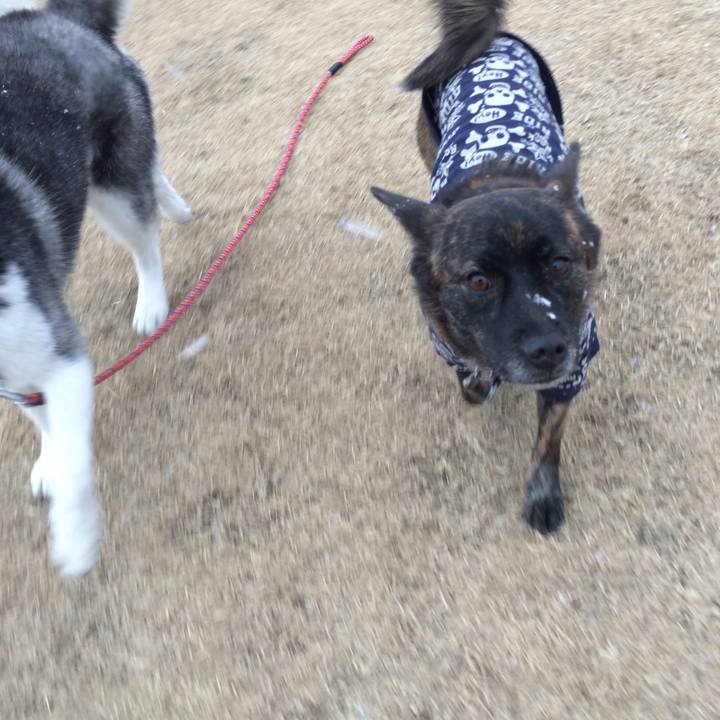 B976091f cd7a 47d8 a7ea ba4c11c08d29