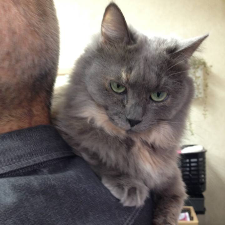 B976cf9e ea2f 4707 82b6 118d0ca33e64