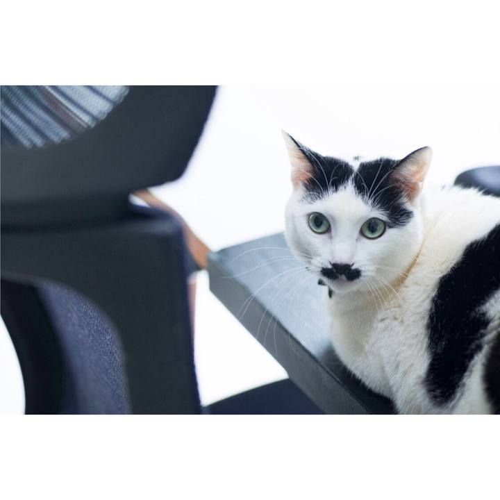 B9771c33 f357 4d2f 82db bcdcdba463e6