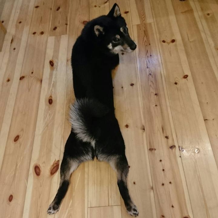 B9773249 62ad 48ce bd44 2159a596adcc