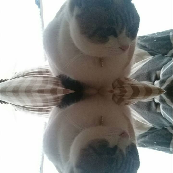 B9773705 97f8 4a24 9349 648ee3b1fb80