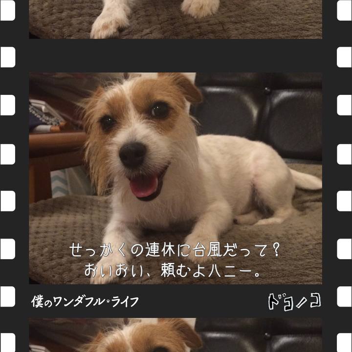 B97755c0 0b5e 48ad bbbe 3028acb2dcd4