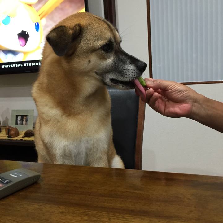 B97779b1 5333 49b7 8da1 2e738706e77d